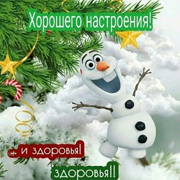 ���� ������, ����������, 45 ��� - ��������� 8 ������ 2024