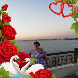 �������(���), �����, 63 ����