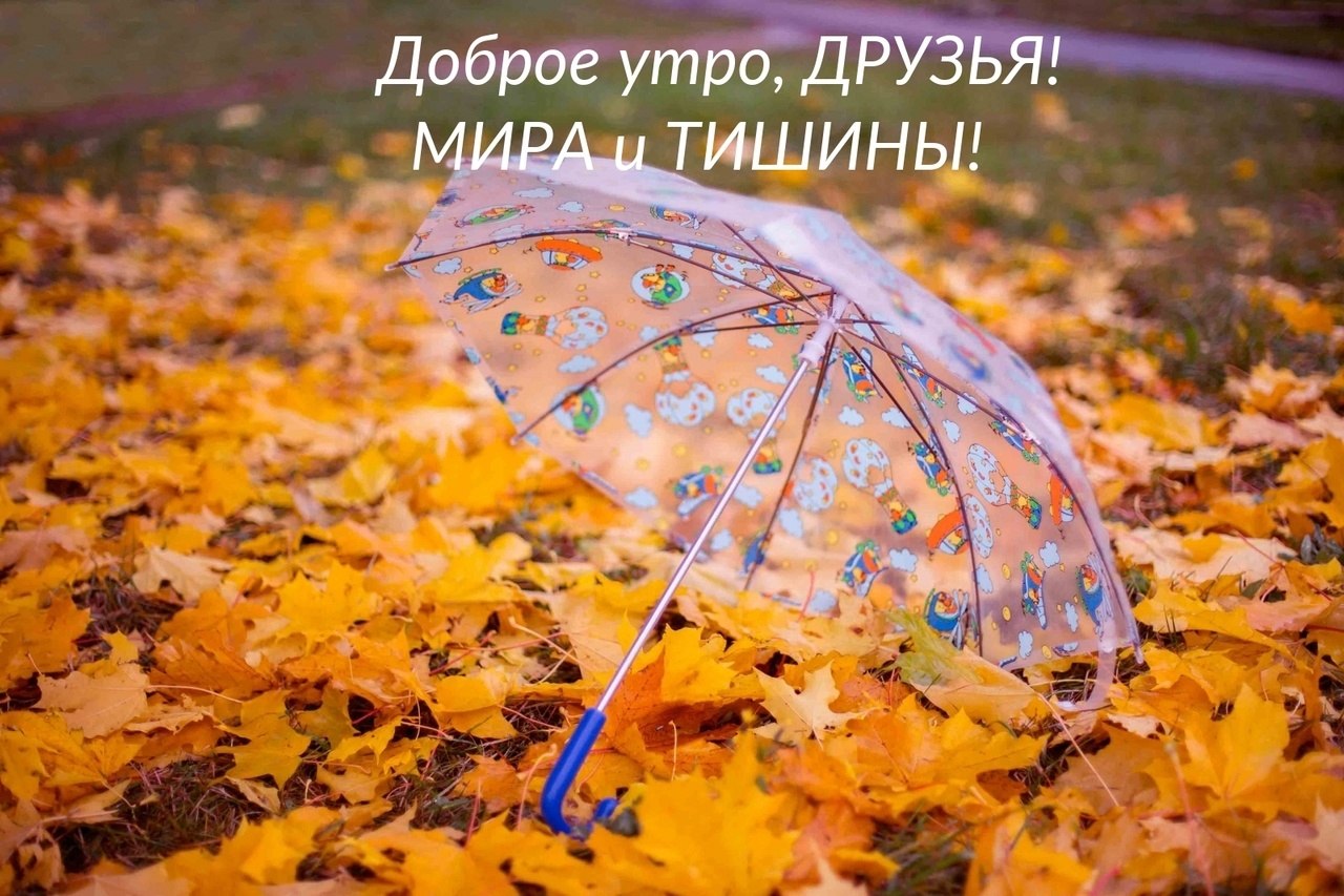 ПРИВЕТСТВИЯ и ПОЖЕЛАНИЯ, открытки на каждый день. - 28 октября 2025 в 01:07