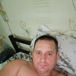 , 40, 