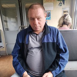 , 37, 