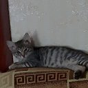 ���� �������, ������� - ��������� 16 ������ 2025 � ������ ������ ��������