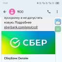 ���� ������ ��������, �����, 62 ���� - ��������� 16 ������ 2024 � ������ ���� ����������