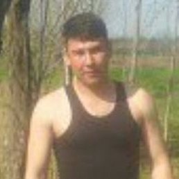 ������, �������, 37 ���