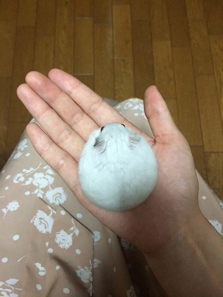 , ,     .  ,      !