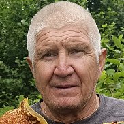 , 68 , 