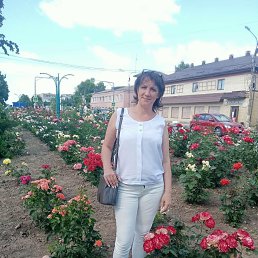 ���� ���, �������, 41 ��� - ��������� 27 ������� 2023