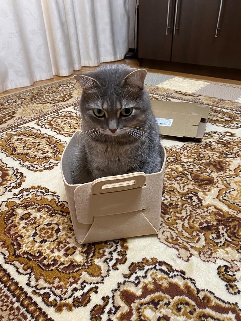     ,   )))