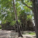 ���� �����, ������, 49 ��� - ��������� 1 ������� 2024 � ������ ���� ����������