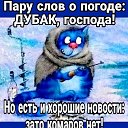 ���� ���������, ������ ��������, 60 ��� - ��������� 9 ������ 2026 � ������ ������ ��������