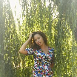 �����, ������