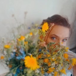 ���� �����, �������, 50 ��� - ��������� 27 ���� 2026