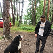 , 54 , 