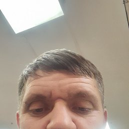 �������, ������, 39 ���