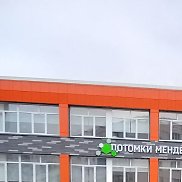 �������, 67 ���, ������