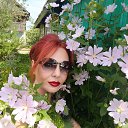 ���� ��������, ������, 46 ��� - ��������� 24 ���� 2025 � ������ ���� ����������