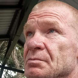 �������, �������, 48 ���