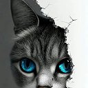 ���� �����, ���������, 43 ���� - ��������� 23 ������� 2025