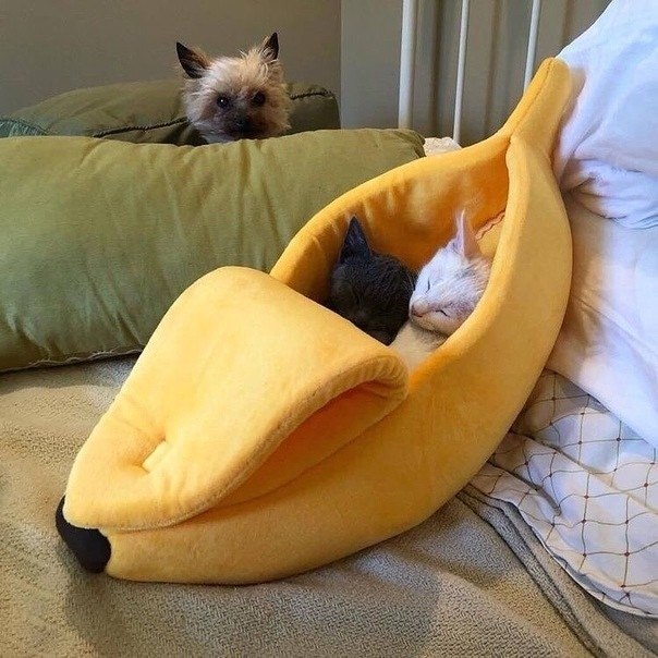  !