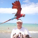  Roman, , 52  -  20  2025    