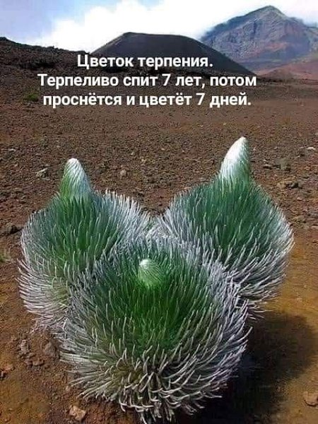 :)
