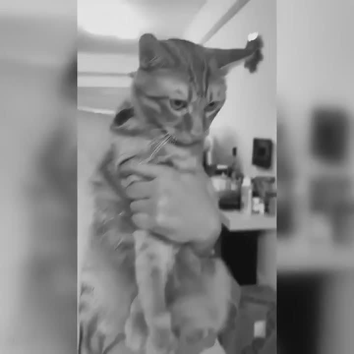 ����, ������� ��������� �� �������� - 2