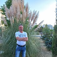 �������, 60 ���, ����