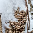 ���� ���������, �������, 65 ��� - ��������� 9 ������� 2024 � ������ ������ ��������