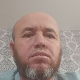 ���������, �����, 43 ����