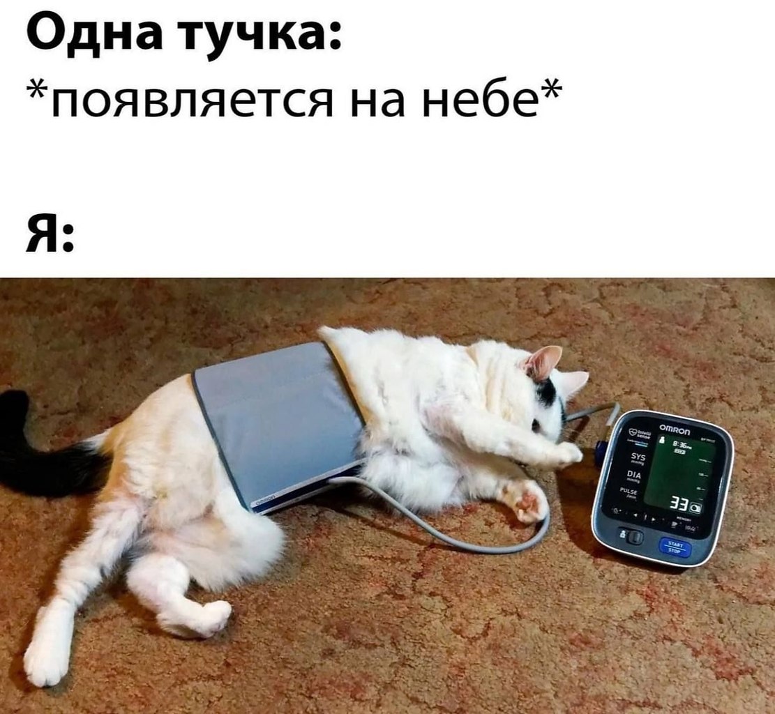   - 6  2025  17:07