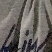 ���������, 33 ����, ����������