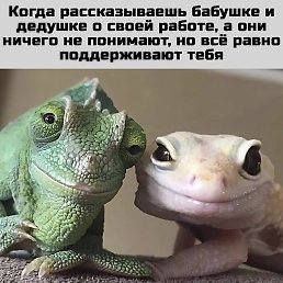 ������, ������, 21 ���