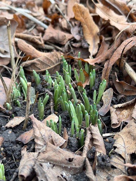 � ������������ ������� ������������ ����������� ��-�� ��������� ����� ������.����: ���������� ... - 2