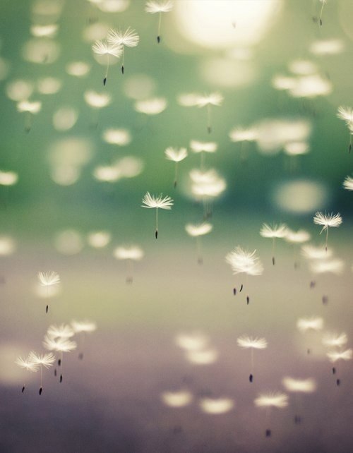 � ���� ���� ��� ������� ����.����� ������ �������� �����. Ÿ ����� ������� �����,Ÿ ����� ���� ...