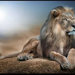 Karen, ������, 44 ����