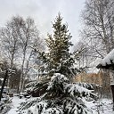 ���� �����, ������������, 53 ���� - ��������� 7 ������� 2023 � ������ ���� ����������