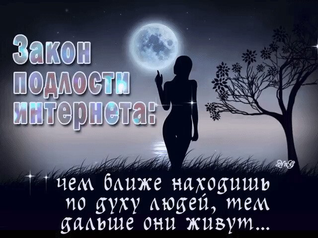 ������� - 29 ���� 2026 � 19:34