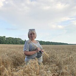 , 58, 