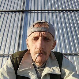 , 44, 