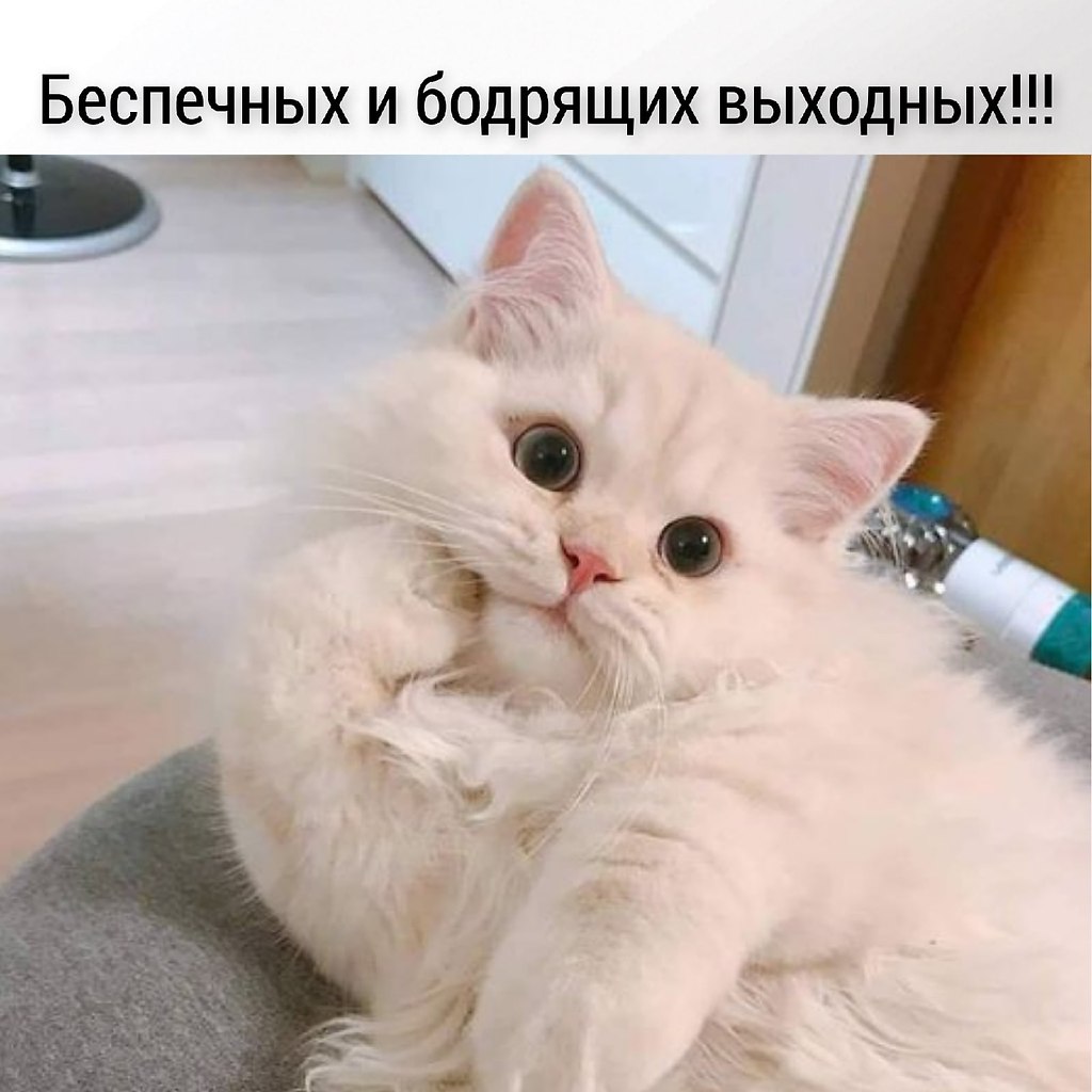       - 10  2025  11:13 - 6