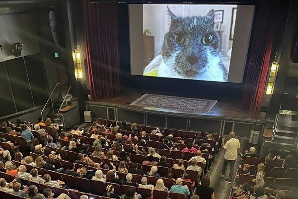 � ��� � ������ ���������� ����������, �� ������� ������� ���� ��������������� ���� � ������. ��� ...