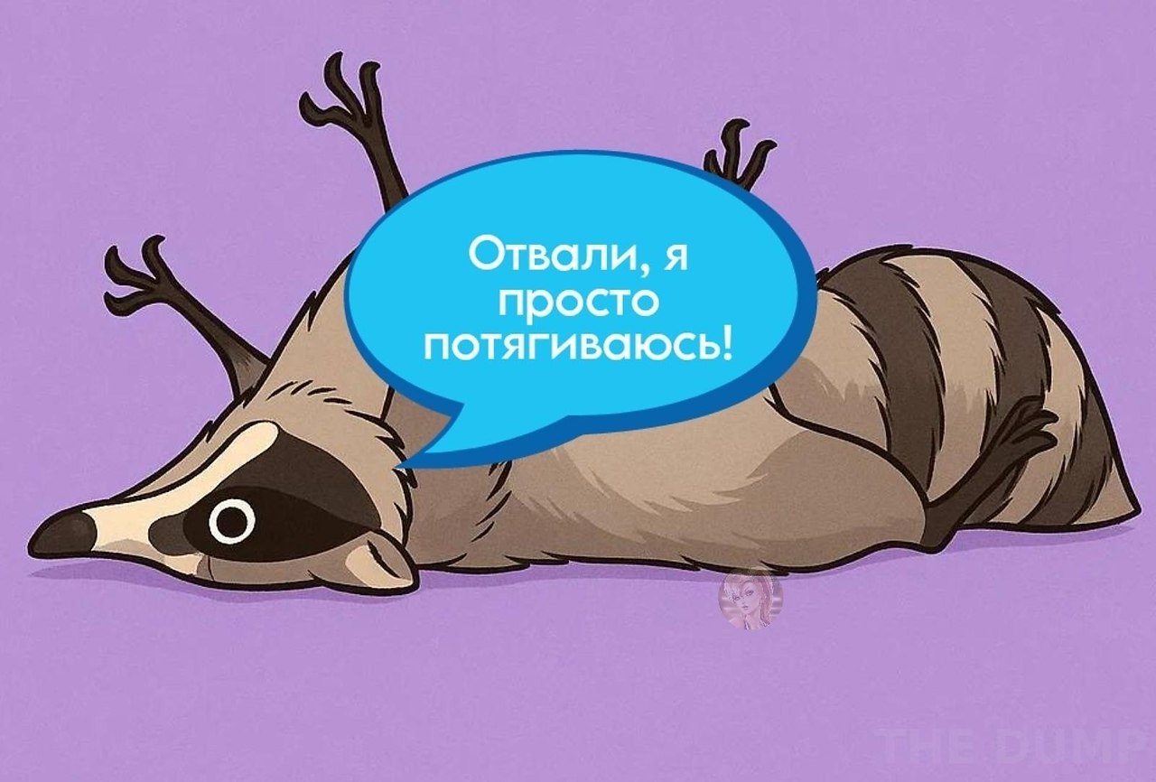 so`quiet - 2