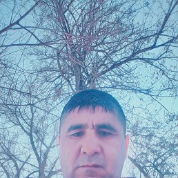 , 37, 