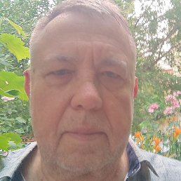 ���������, ���������, 66 ���