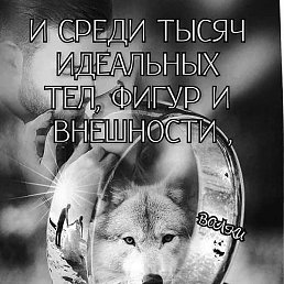 ������, �������, 50 ���