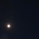 ���� �������., ������� - ��������� 24 ������� 2026 � ������ ������ ��������