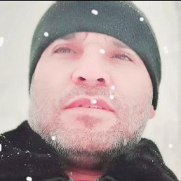 ����, �������, 41 ���