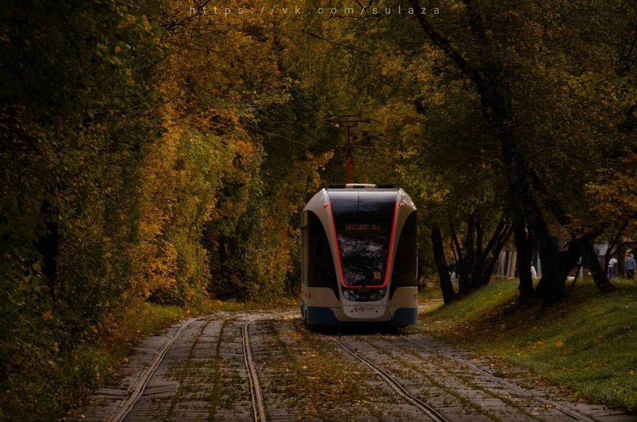 ����� ����������� ��������� � ����������� ������.��������: ������ ����������