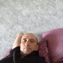 , 41, 