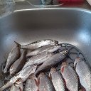 23. ���. �������, � �������. �� ������� ���� ����������